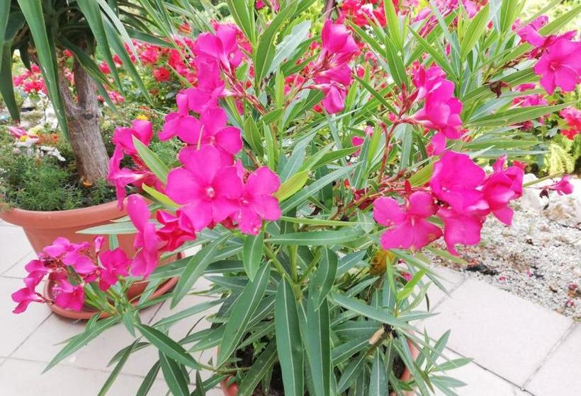 Курорт Kati Villa