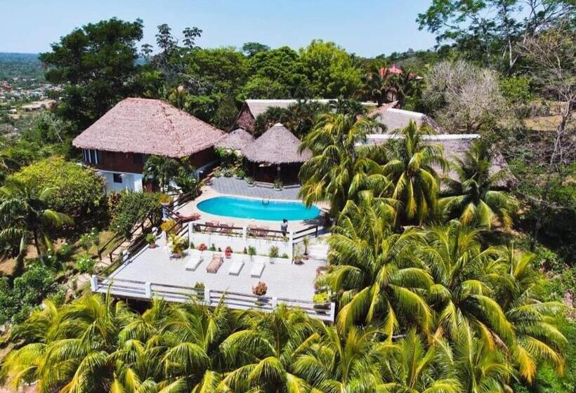 هتل Carlo S Swimming Pool