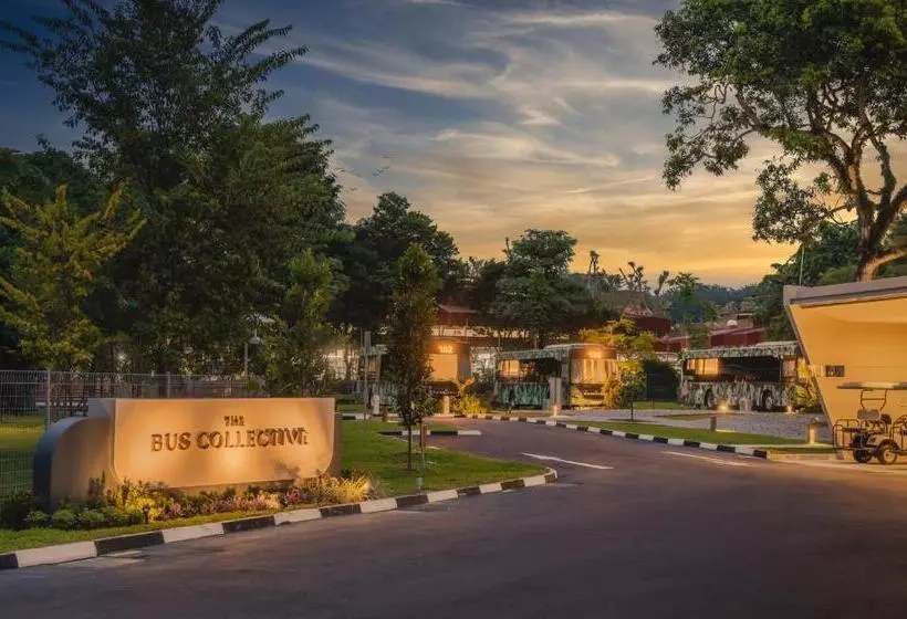 هتل The Bus Collective