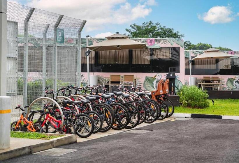 هتل The Bus Collective