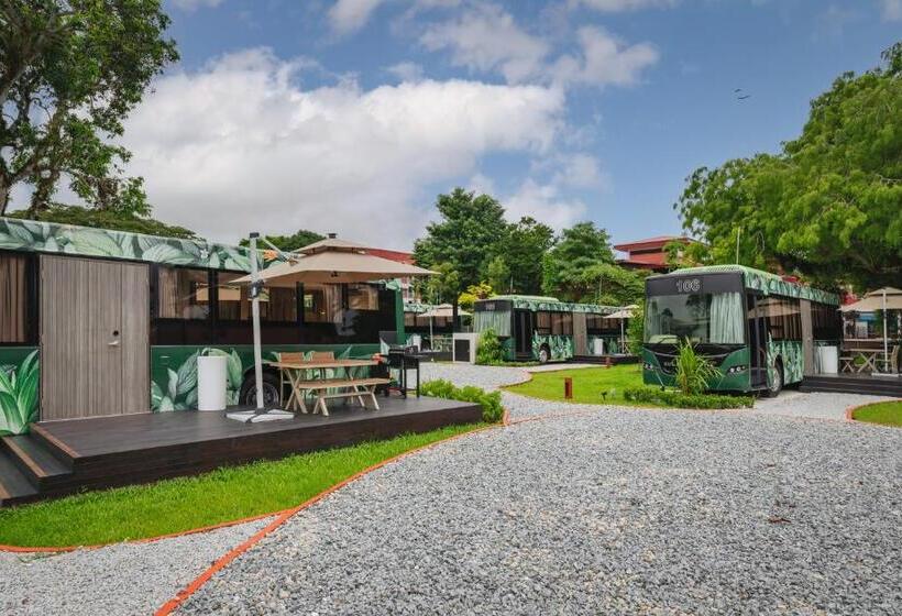 هتل The Bus Collective