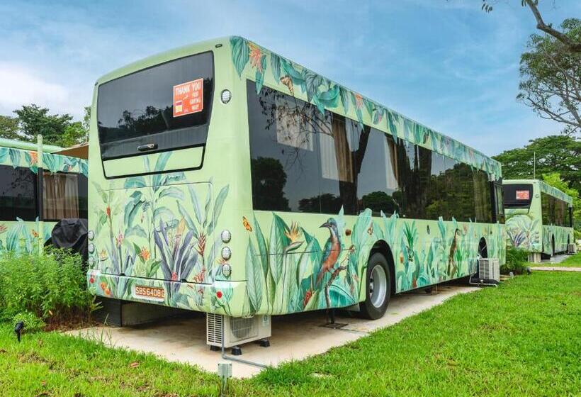 هتل The Bus Collective