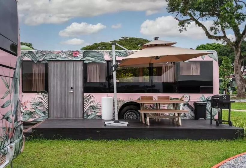 هتل The Bus Collective