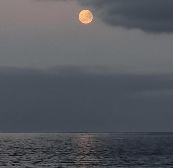 بنسيون Hostal Ruta Del Desierto