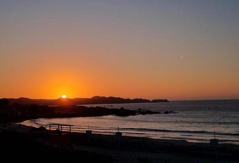 بنسيون Hostal Ruta Del Desierto