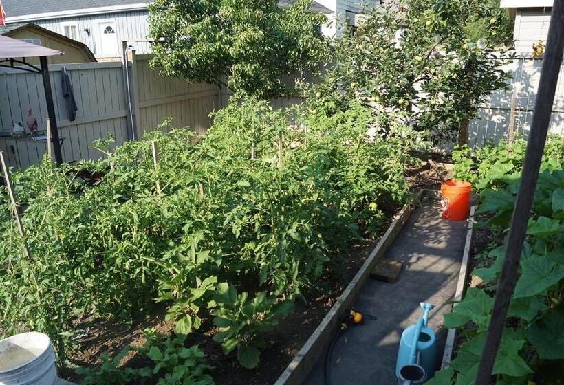 مبيت وإفطار Pelican Guest House. Village Style Living. Spend Vacation Time In Eco Place!