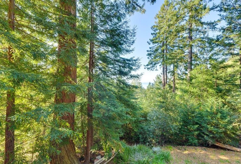 Coastal Norcal Sanctuary W/ Ocean & Redwoods Views