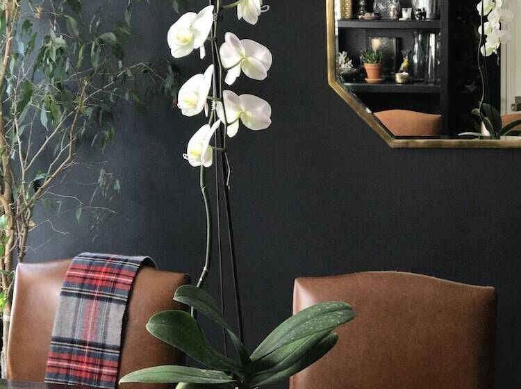 客栈 Beautiful Luxury Suite A Shorewood Home