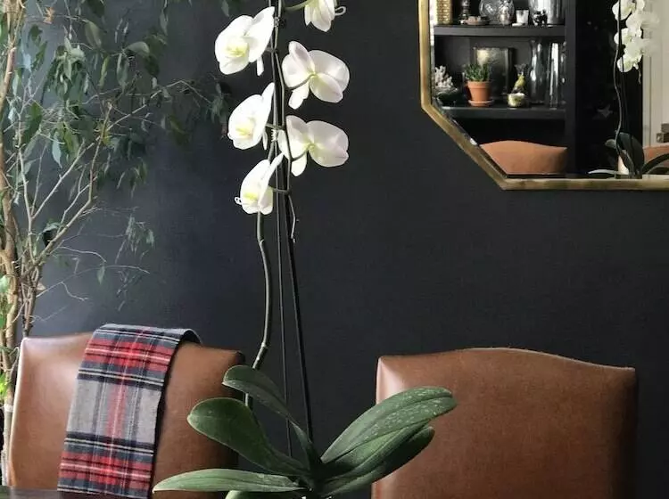 簡易ホテル Beautiful Luxury Suite A Shorewood Home