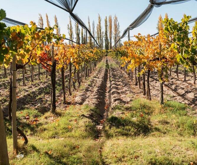 Herberg Posada Bonarda