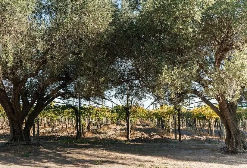 Hostelli Posada Bonarda