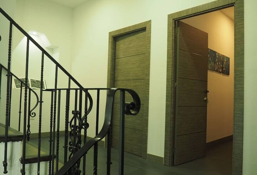 Molucano Themed Rooms