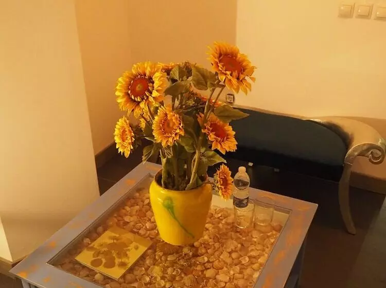 Molucano Themed Rooms