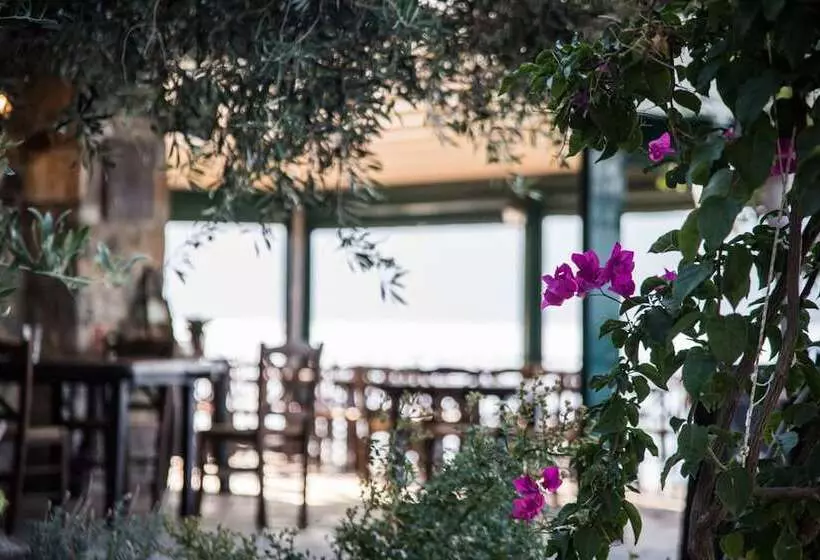 Agrilia Koromili Retreat