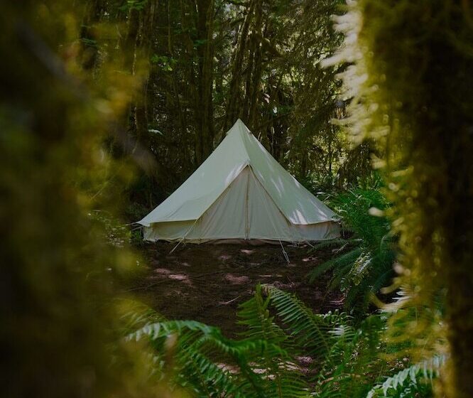 Отель Wander Camp Olympic