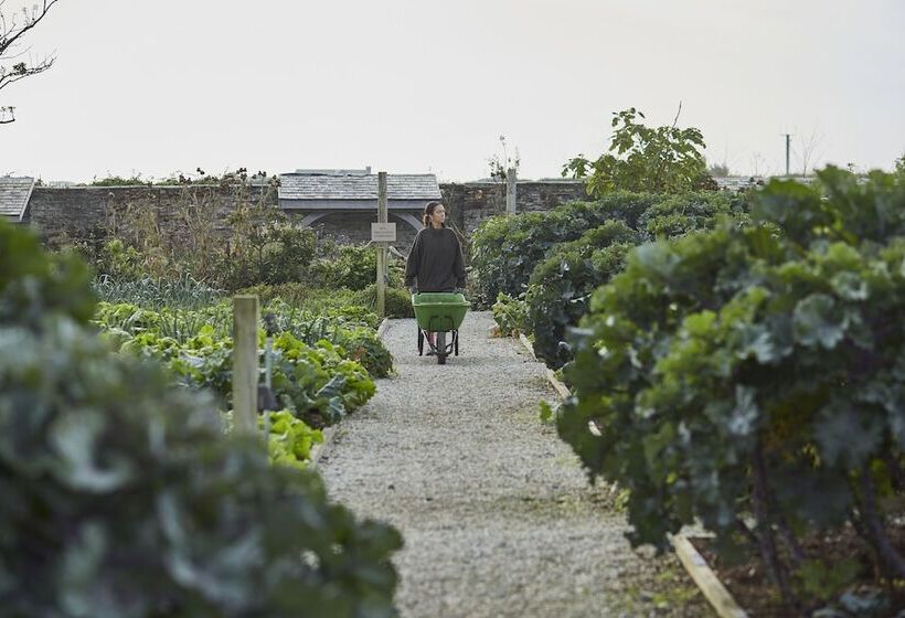 Hotel The Pig At Harlyn Bay   Cornwall
