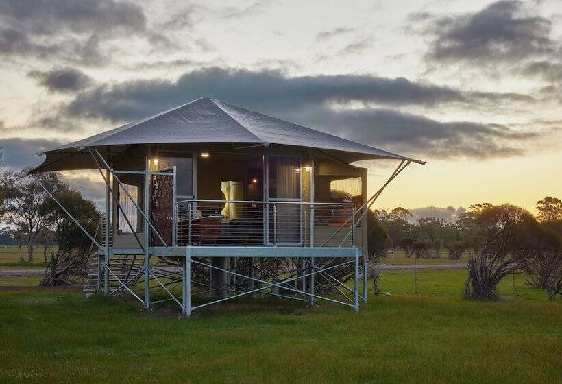 בית מלון כפרי Willow Wood Glamping Retreat