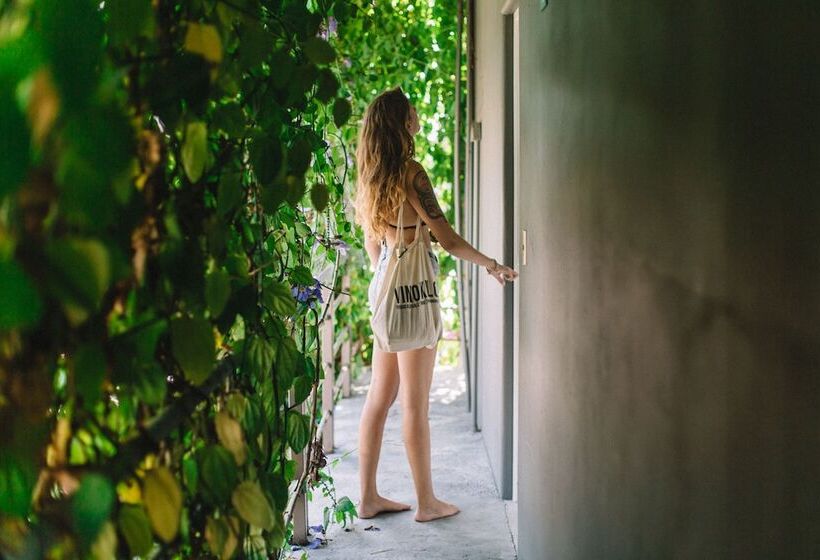 여관 La Escondida H