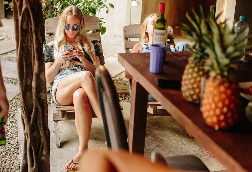 여관 La Escondida H