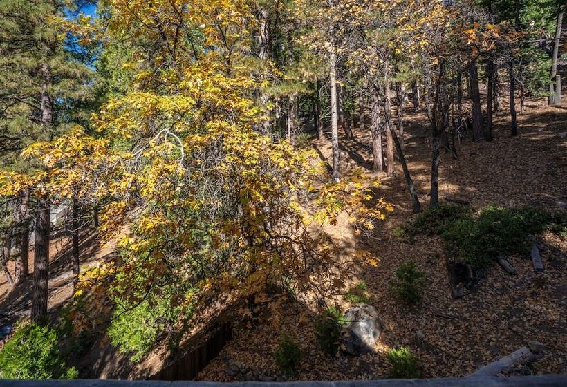 Timber Lodge Yosemite Enveloped In Nature!