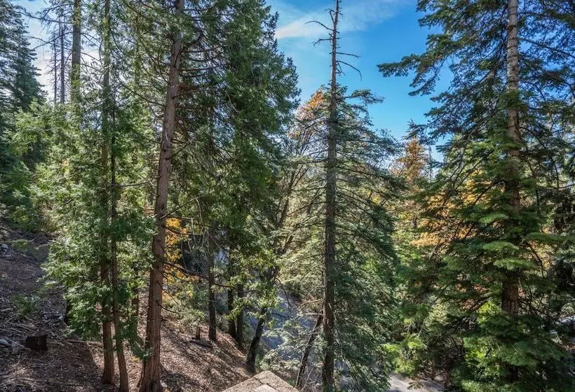 Timber Lodge Yosemite Enveloped In Nature!