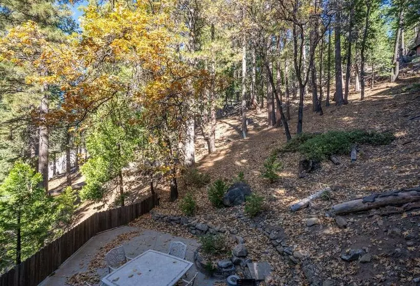 Timber Lodge Yosemite Enveloped In Nature!