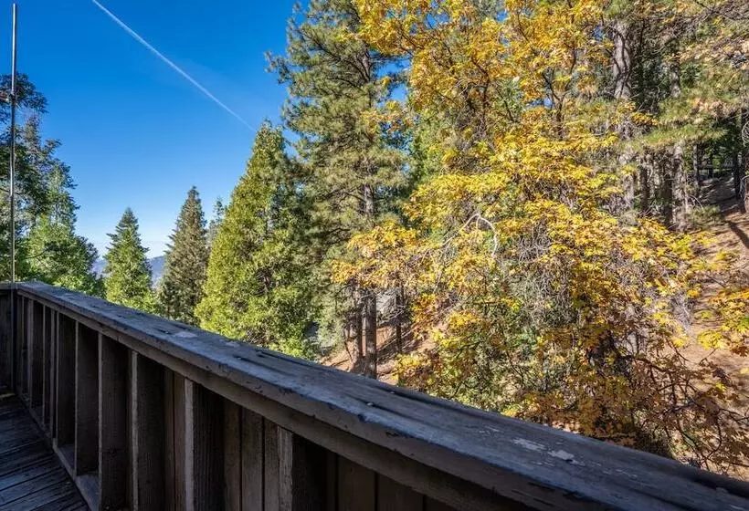 Timber Lodge Yosemite Enveloped In Nature!