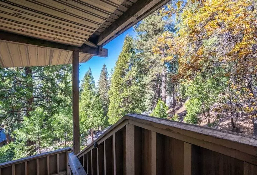 Timber Lodge Yosemite Enveloped In Nature!