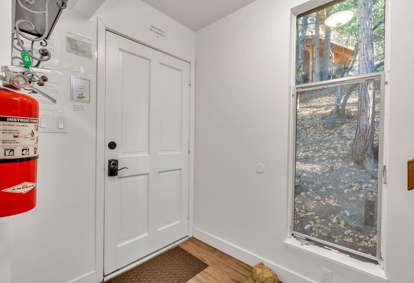 Timber Lodge Yosemite Enveloped In Nature!