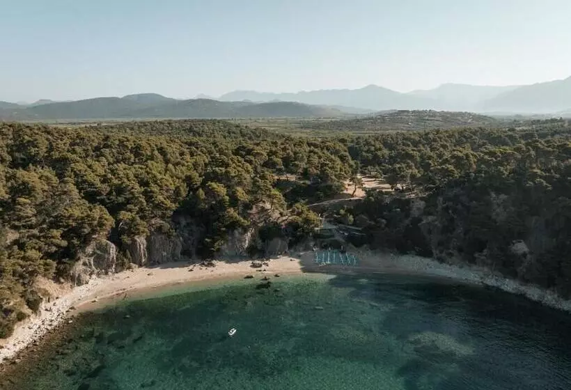 Trinity Design Suites