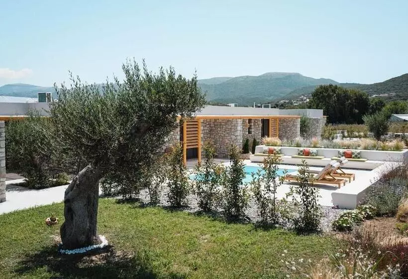 Trinity Design Suites