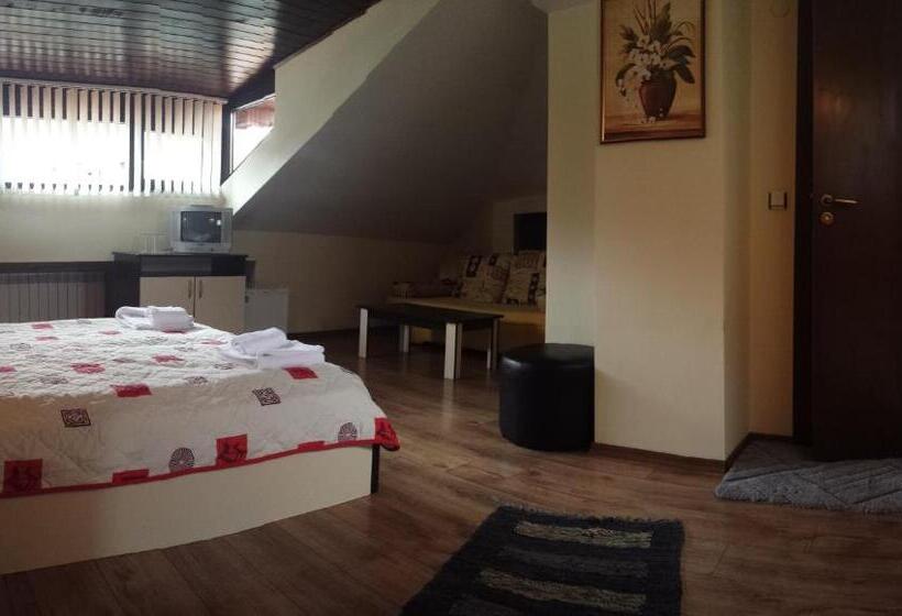 Hotel Guest House Skabrin