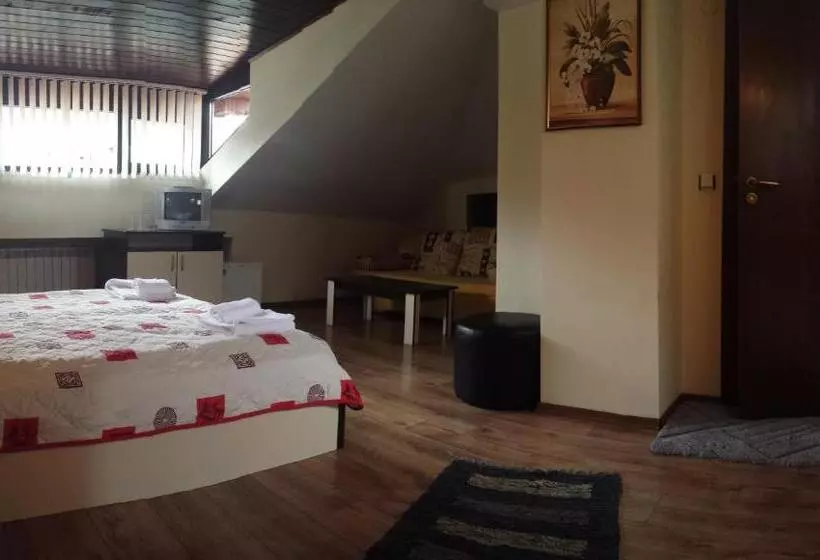 Hotelli Guest House Skabrin