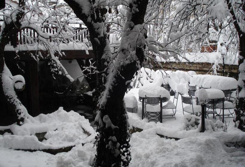 فندق Oazis Family