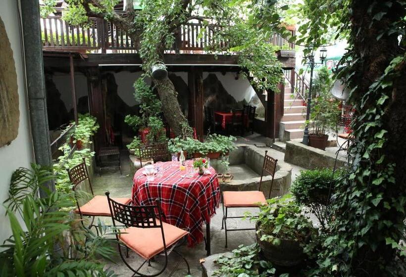 فندق Oazis Family