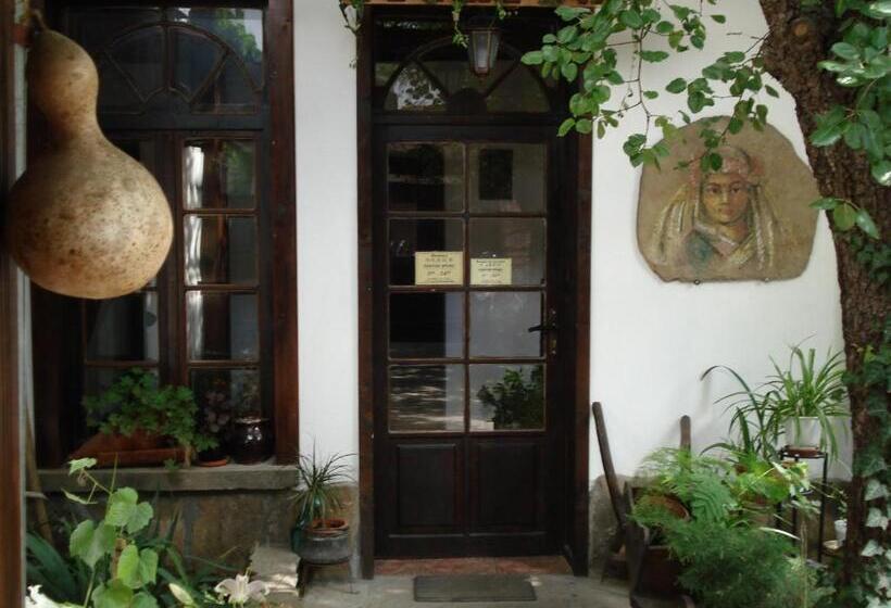 فندق Oazis Family