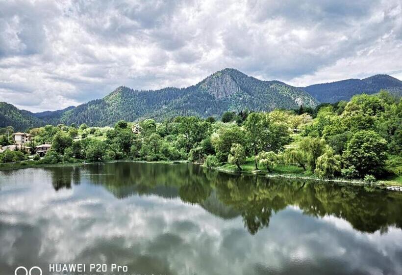 בית מלון כפרי Ribkata Family