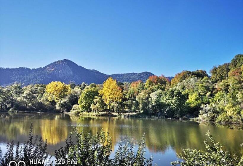 בית מלון כפרי Ribkata Family
