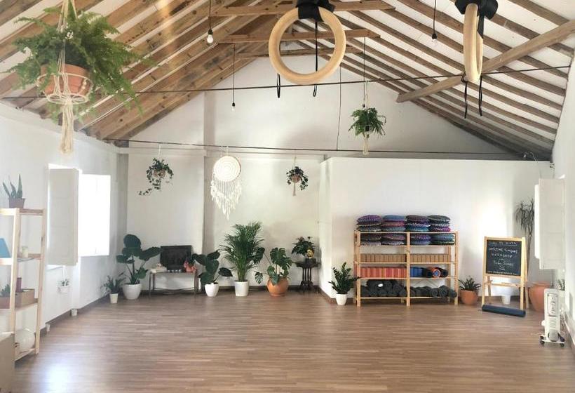 هاستل Olive3 Ericeira