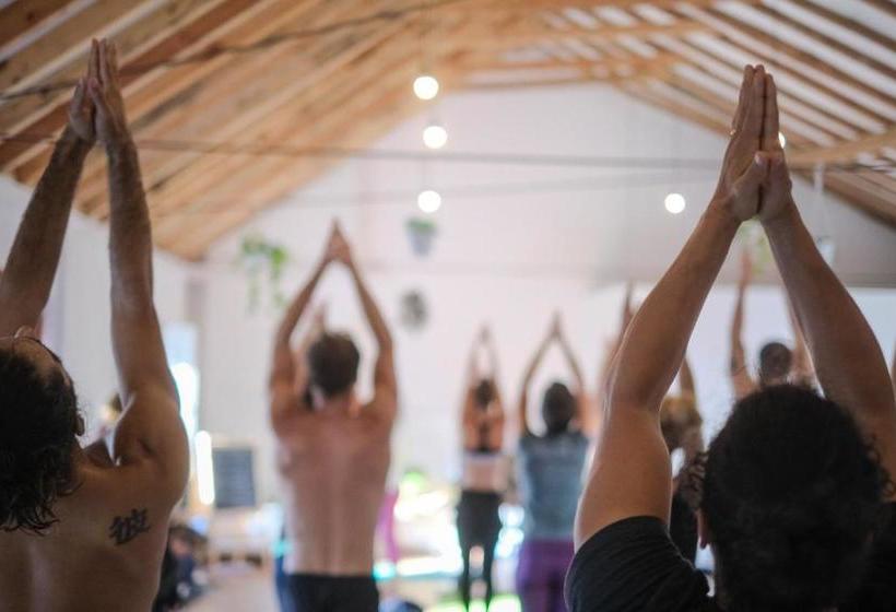 هاستل Olive3 Ericeira