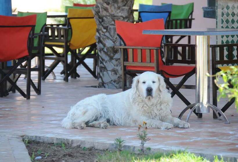 پانسیون Les Riads De Jouvence