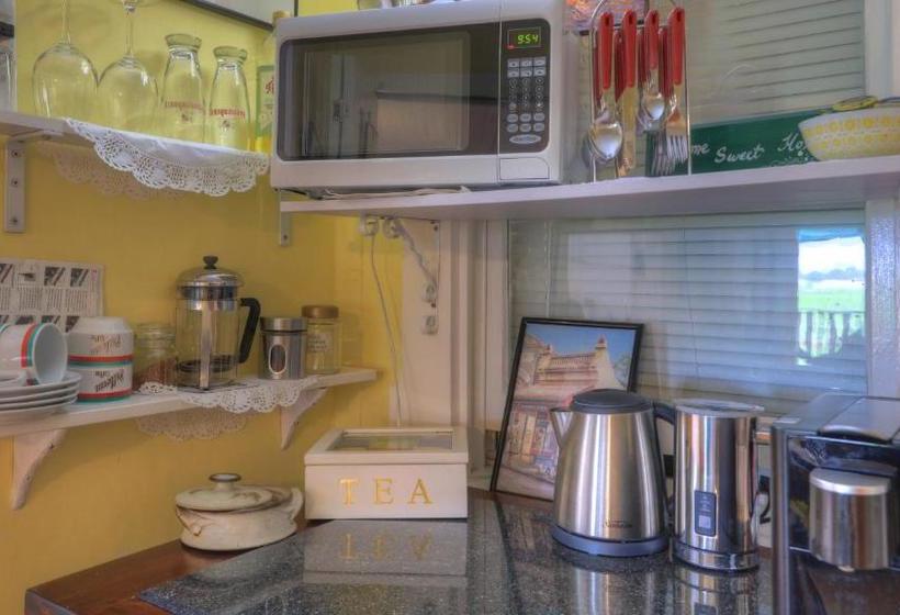 Andavine House   Bed & Breakfast