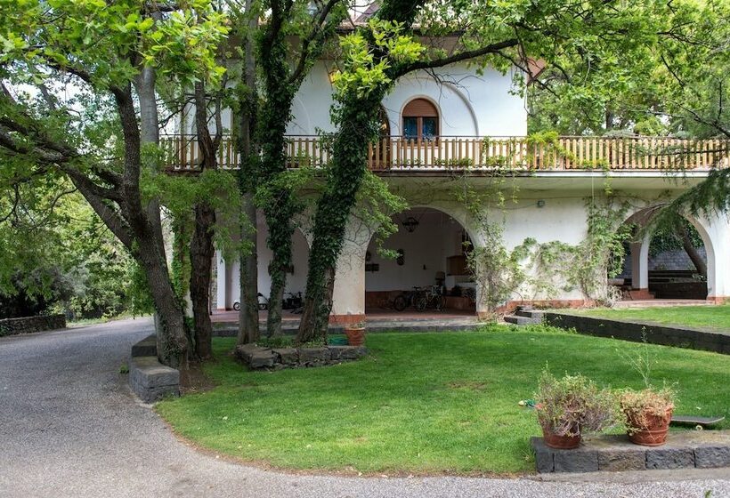 مبيت وإفطار Domus Verdiana