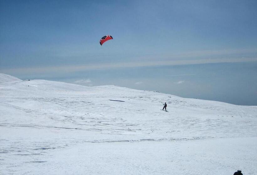 مبيت وإفطار Domus Verdiana