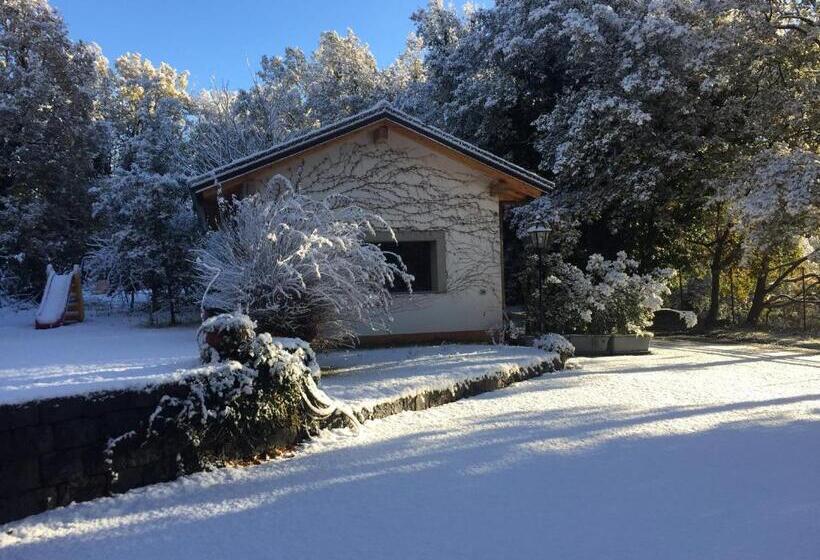 مبيت وإفطار Domus Verdiana