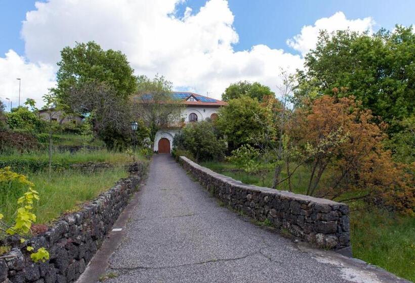 مبيت وإفطار Domus Verdiana