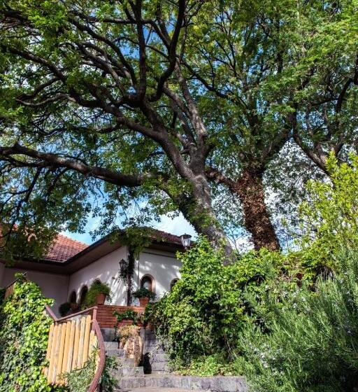 مبيت وإفطار Domus Verdiana