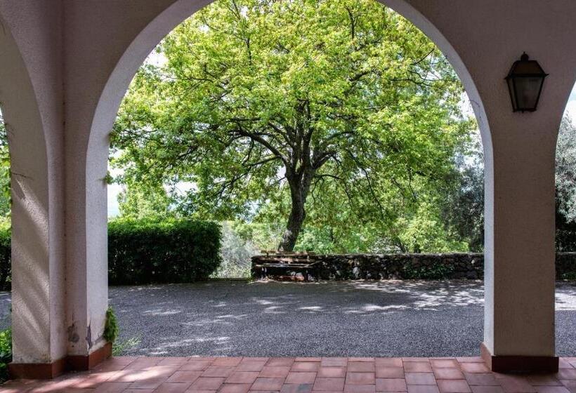 مبيت وإفطار Domus Verdiana