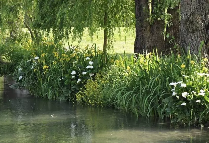 ベッドアンドブレックファースト La Finestra Sul Fiume