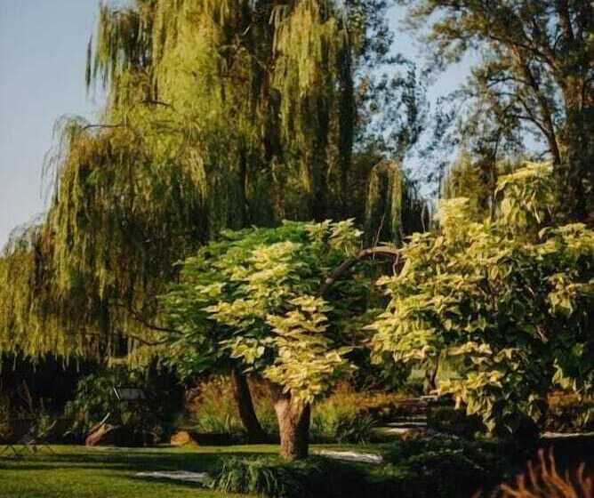 Bed and Breakfast La Finestra Sul Fiume